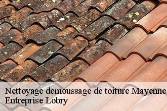 Nettoyage demoussage de toiture 53 Mayenne  Entreprise Lobry