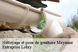 Nettoyage et pose de gouttière 53 Mayenne  Entreprise Lobry