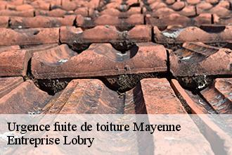 Urgence fuite de toiture 53 Mayenne  Entreprise Lobry