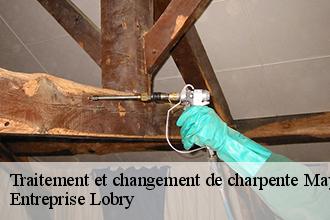Traitement et changement de charpente 53 Mayenne  Entreprise Lobry