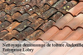 Nettoyage demoussage de toiture  andouille-53240 Entreprise Lobry