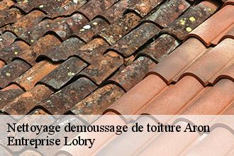 Nettoyage demoussage de toiture  aron-53440 Entreprise Lobry