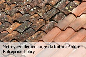 Nettoyage demoussage de toiture  astille-53230 Entreprise Lobry