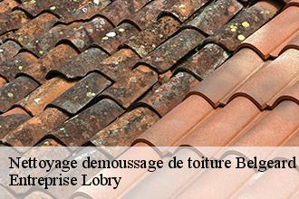 Nettoyage demoussage de toiture  belgeard-53440 Entreprise Lobry