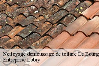 Nettoyage demoussage de toiture  le-bourgneuf-la-foret-53410 Entreprise Lobry