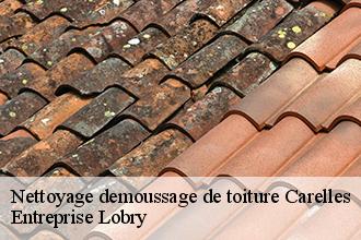 Nettoyage demoussage de toiture  carelles-53120 Entreprise Lobry