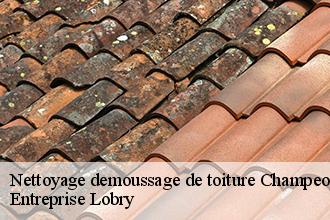 Nettoyage demoussage de toiture  champeon-53640 Entreprise Lobry