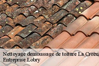 Nettoyage demoussage de toiture  la-croixille-53380 Entreprise Lobry