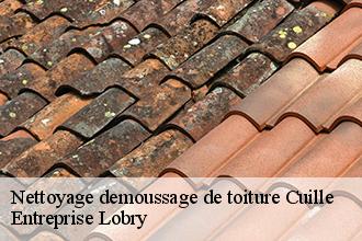 Nettoyage demoussage de toiture  cuille-53540 Entreprise Lobry