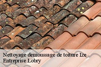 Nettoyage demoussage de toiture  ize-53160 Entreprise Lobry