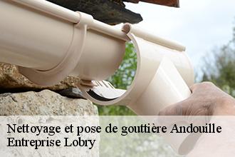 Nettoyage et pose de gouttière  andouille-53240 Entreprise Lobry