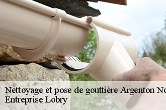 Nettoyage et pose de gouttière  argenton-notre-dame-53290 Entreprise Lobry