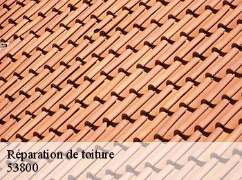 Réparation de toiture  53800