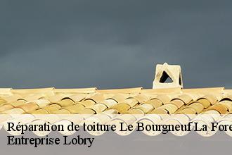 Réparation de toiture  le-bourgneuf-la-foret-53410 Entreprise Lobry