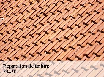 Réparation de toiture  53420