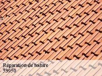 Réparation de toiture  53950