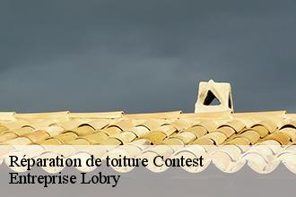 Réparation de toiture  contest-53100 Entreprise Lobry