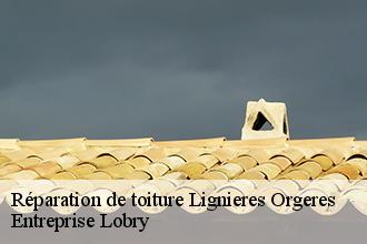 Réparation de toiture  lignieres-orgeres-53140 Entreprise Lobry