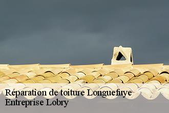 Réparation de toiture  longuefuye-53200 Entreprise Lobry