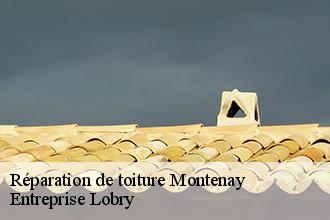 Réparation de toiture  montenay-53500 Entreprise Lobry