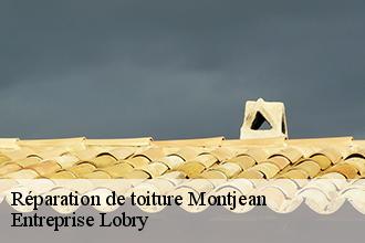 Réparation de toiture  montjean-53320 Entreprise Lobry