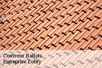 Couvreur  ballots-53350 Entreprise Lobry