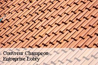 Couvreur  champeon-53640 Entreprise Lobry