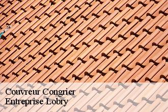 Couvreur  congrier-53800 Entreprise Lobry
