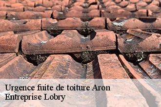 Urgence fuite de toiture  aron-53440 Entreprise Lobry