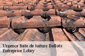 Urgence fuite de toiture  ballots-53350 Entreprise Lobry