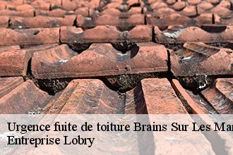 Urgence fuite de toiture  brains-sur-les-marches-53350 Entreprise Lobry