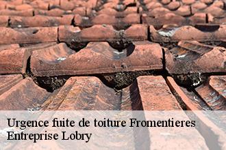 Urgence fuite de toiture  fromentieres-53200 Entreprise Lobry