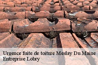 Urgence fuite de toiture  meslay-du-maine-53170 Entreprise Lobry