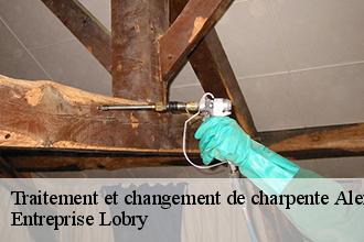 Traitement et changement de charpente  alexain-53240 Entreprise Lobry