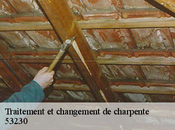 Traitement et changement de charpente  53230