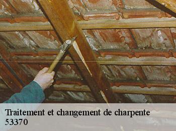 Traitement et changement de charpente  53370