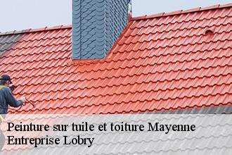 Peinture sur tuile et toiture 53 Mayenne  Entreprise Lobry