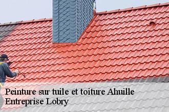 Peinture sur tuile et toiture  ahuille-53940 Entreprise Lobry