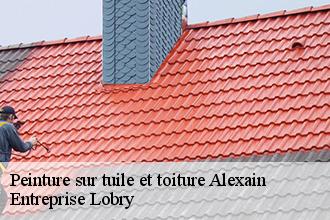 Peinture sur tuile et toiture  alexain-53240 Entreprise Lobry