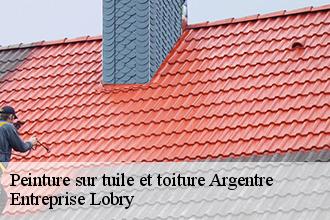 Peinture sur tuile et toiture  argentre-53210 Entreprise Lobry