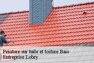 Peinture sur tuile et toiture  bais-53160 Entreprise Lobry