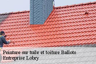 Peinture sur tuile et toiture  ballots-53350 Entreprise Lobry