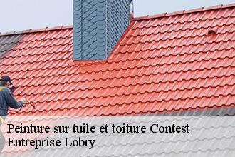 Peinture sur tuile et toiture  contest-53100 Entreprise Lobry