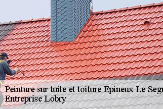 Peinture sur tuile et toiture  epineux-le-seguin-53340 Entreprise Lobry