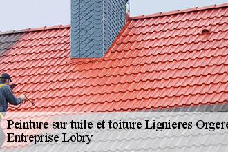 Peinture sur tuile et toiture  lignieres-orgeres-53140 Entreprise Lobry