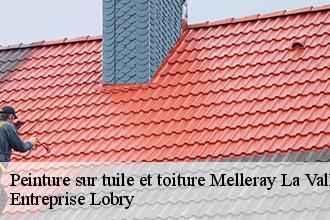 Peinture sur tuile et toiture  melleray-la-vallee-53110 Entreprise Lobry