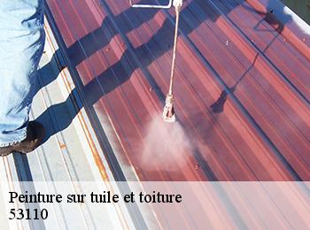 Peinture sur tuile et toiture  53110