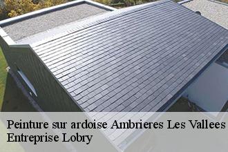 Peinture sur ardoise  ambrieres-les-vallees-53300 Entreprise Lobry