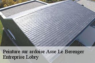 Peinture sur ardoise  asse-le-berenger-53600 Entreprise Lobry