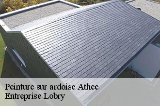 Peinture sur ardoise  athee-53400 Entreprise Lobry